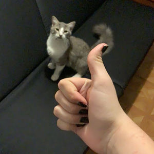 Meet your Posher, Christopher